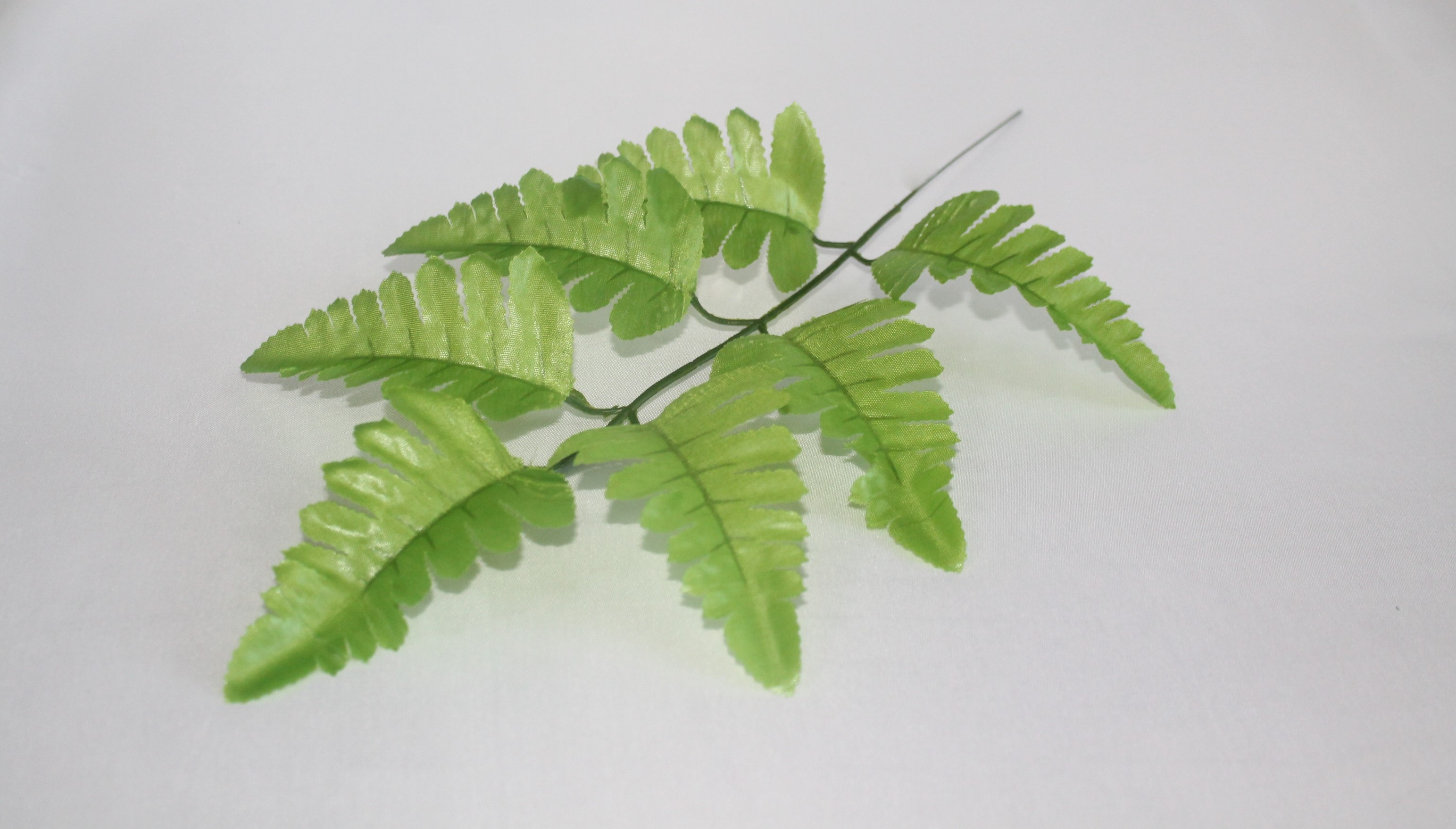 В2001 ЛИСТ ПАПОРОТНИКА 7 ЛИСТОВ ОРЛЯК  20 ШТ В УП. 40/27 СМ.