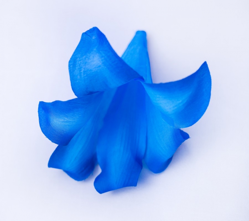 В5004 НАСАДКА ЛИЛИИ  В УП. 30 ШТ. Д 19 СМ.