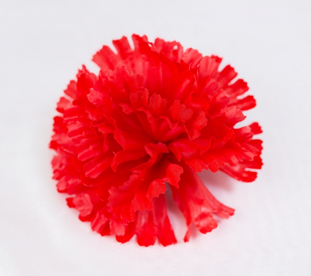 В5020 НАСАДКА ГВОЗДИКИ  В УП. 30 ШТ. Д 12 СМ.