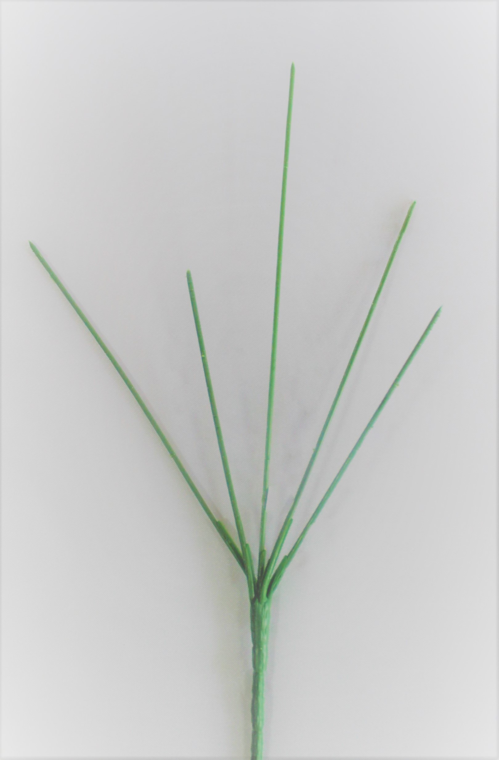 В6010 СТЕБЕЛЬ ДЛЯ БУКЕТА 30 СМ. 5 ВЕТОК 10 ШТ. В УП.