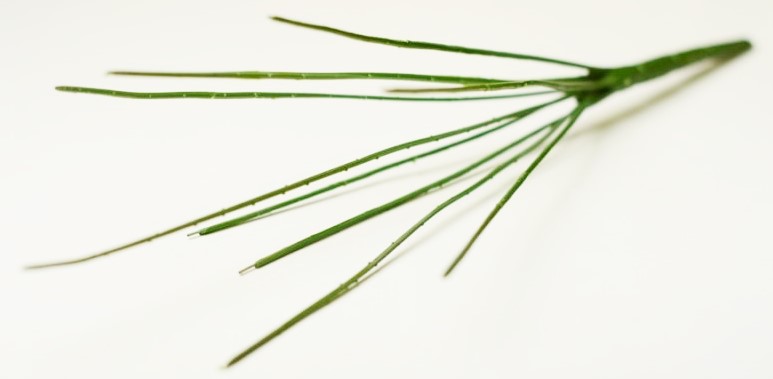 В6024 СТЕБЕЛЬ ДЛЯ БУКЕТА  9 ВЕТОК  41 СМ (20 ШТ В УП)