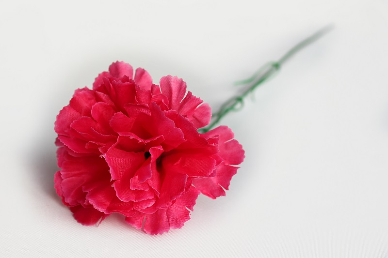 В3001 ГВОЗДИКА ОДИНОЧНАЯ БОЛЬШАЯ  20 ШТ В УП. 45 СМ.