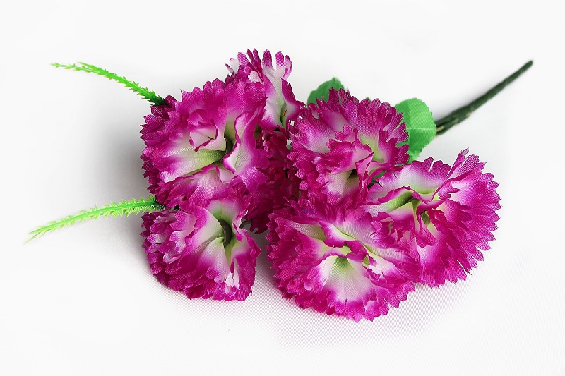 В1039 БУКЕТ ГВОЗДИКИ 5 ГОЛОВ  В УП, 1 ШТ, 35 СМ.