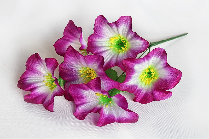 В1054 БУКЕТ РОЗ 7 ГОЛОВ 12 ШТ В УП