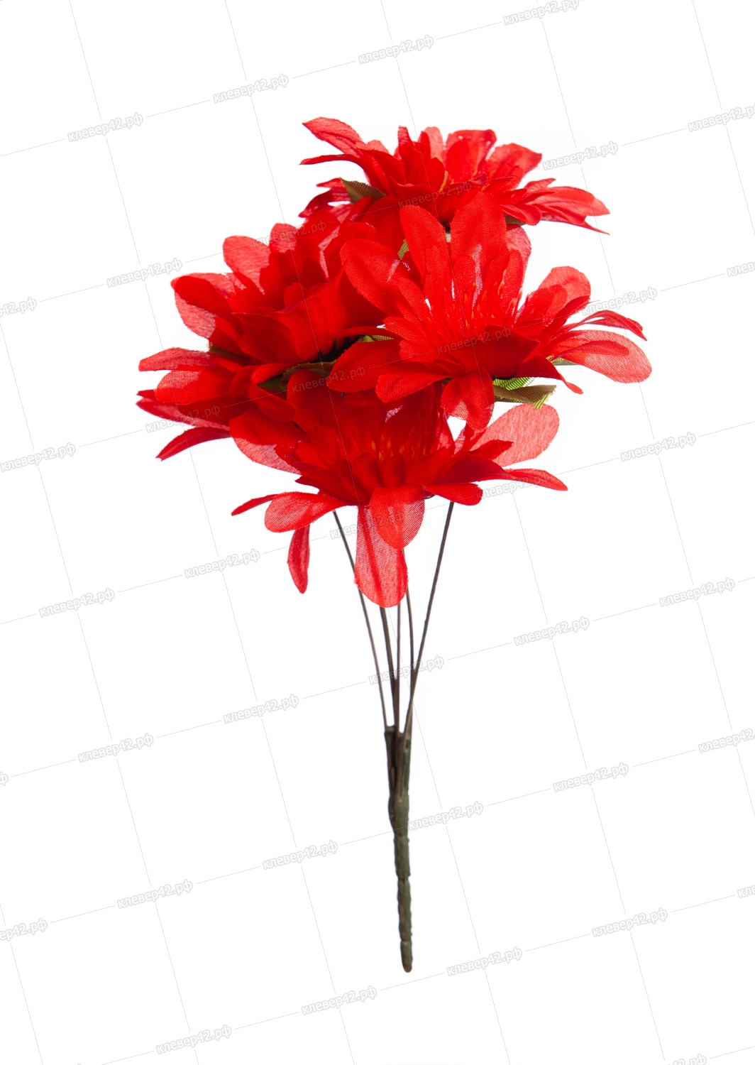 В1023 БУКЕТ АСТРЫ  5 ГОЛОВ  В 32 СМ. 2 ШТ В УП